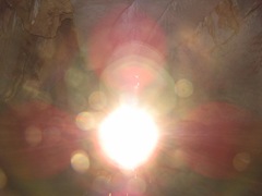 IMG_8379