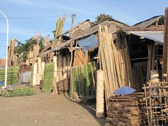 IMG_8541