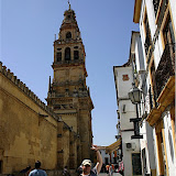  &ndash; Culín en la Mezquita de Córdoba