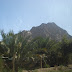 DSC03429.JPG