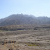 DSC03503.JPG