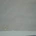 DSC03568.JPG
