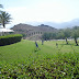 DSC03586.JPG