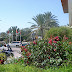 DSC03594.JPG