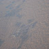 DSC03646.JPG