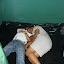 DSC02548.JPG