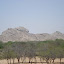 DSC02700.JPG