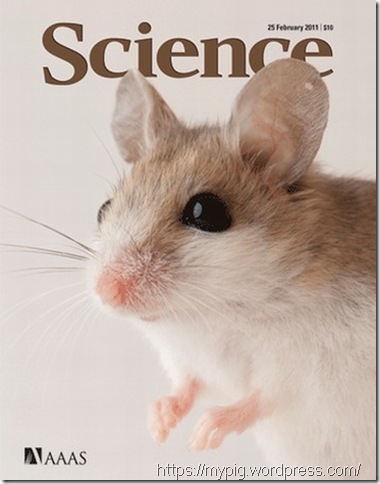 Science 2011-02-25