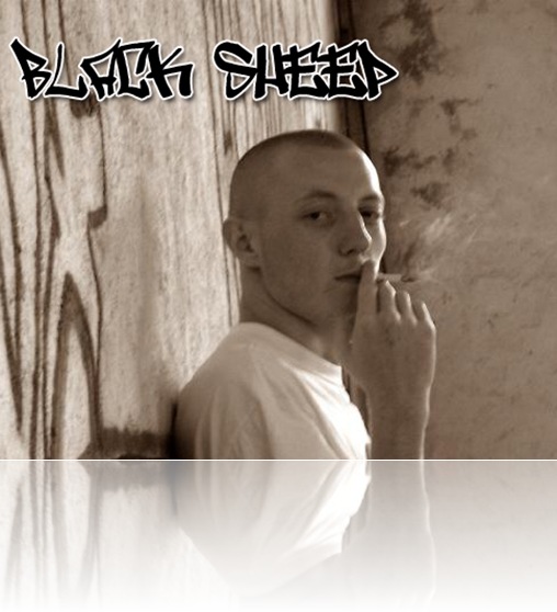 blacksheep2