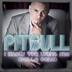 [Pitbull_i_know_you_want_me_cover[3].jpg]