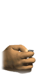 Coin%20Toss.gif