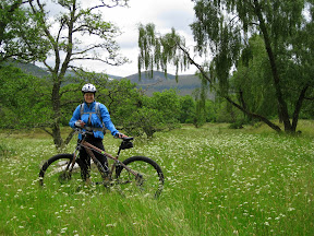 just a pretty pasture at the end of day three.