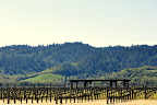 Napa