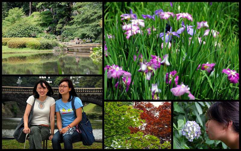 Garden collage