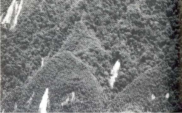 [piramides-brasileiras[7].jpg]