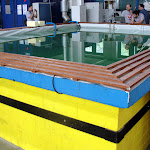 DSC06746.JPG