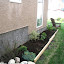 zengirl's Shade garden