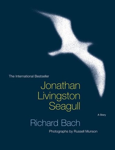 [jonathan seagull[2].jpg]