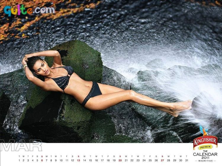 [Kingfisher Calendar 2011_3[2].jpg]