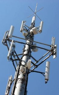 [FALL-IN-GSM[2].jpg]