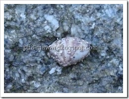 IMG_4214 IMG_4214