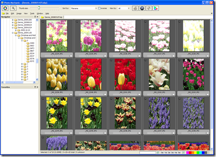PhotoMagicinterface