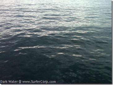 IMG00419-20101115-0807[1]