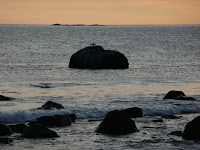P1090013_2.JPG Photo