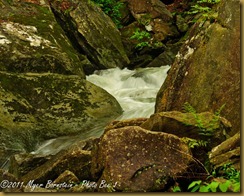 Water running in gorge _ROT1550West Virginia  May 01, 2011 NIKON D3S