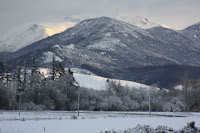 New Zealand-004.jpg