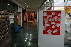 IMG_7695.JPG