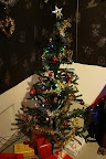IMG_7949.jpg