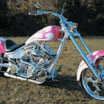 pink chopper.jpg