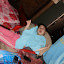 Andees Gift from SEDA-Laos Andees Gift from SEDA-Laos