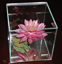 image image