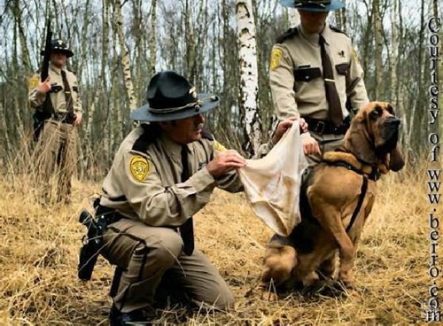 1264476821_costume_guys_arrested_13