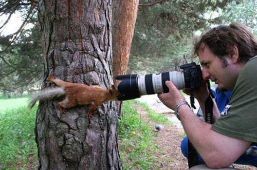 animales-camara (5)