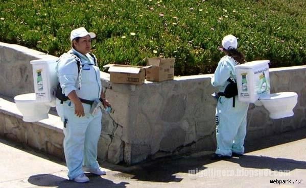 gallinero - image00888