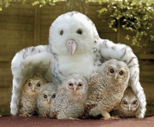 1267416172_acid_picdump_159 1267416172_acid_picdump_159