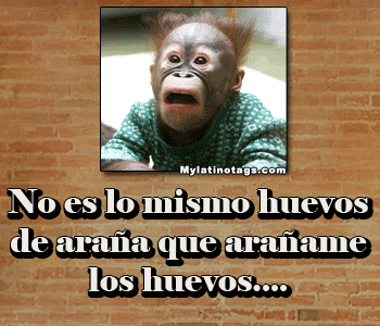 grosero_comentarios10