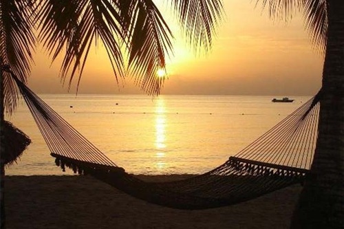 [image0088[3].jpg]