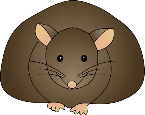 [mouse-fat[2].jpg]