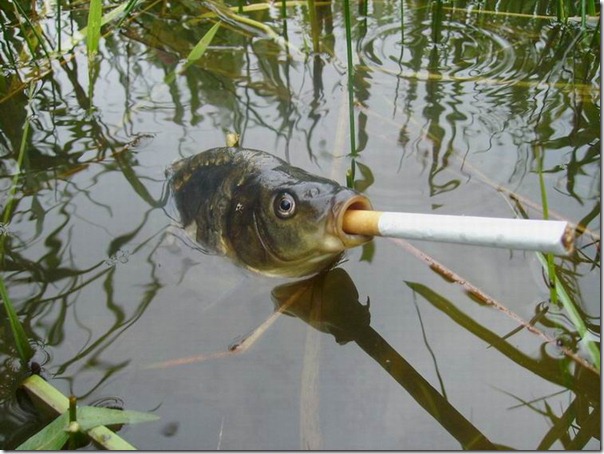 pez fumando