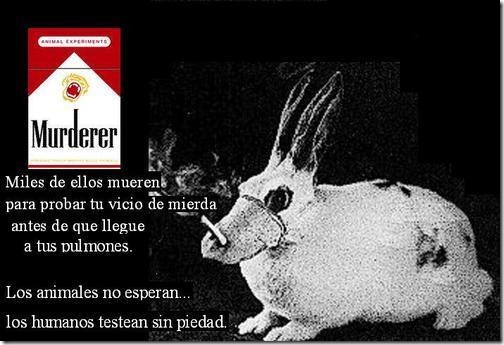 sin tabaco migallinero.blogspot (12)