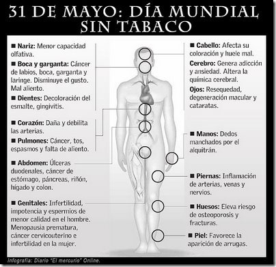 sin tabaco migallinero.blogspot (13)