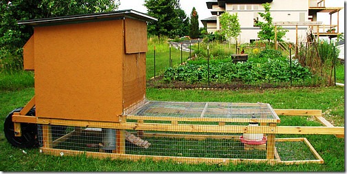 gallineros. elgallinero.blogspot (112) gallineros. elgallinero.blogspot (112)