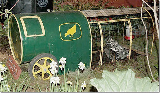 gallineros. elgallinero.blogspot (144) gallineros. elgallinero.blogspot (144)