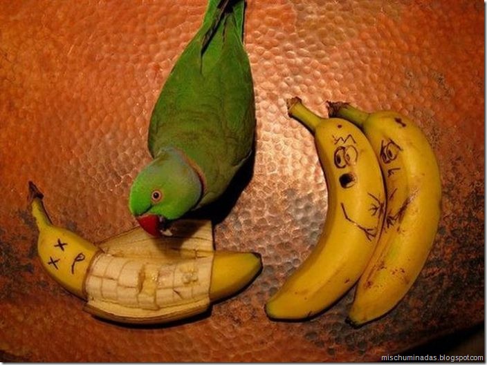 arte con platanos mischuminadas (3) arte con platanos mischuminadas (3)