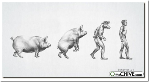 cosasdivertidas evolución (1) cosasdivertidas evolución (1)