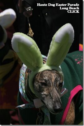 perros pascua (10)